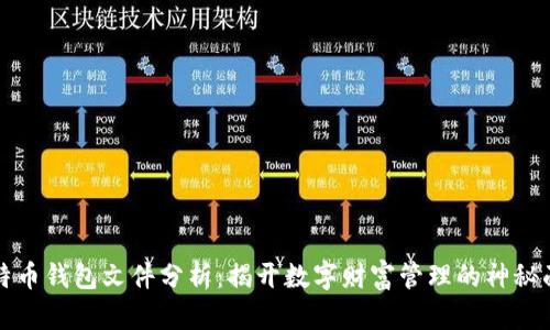 比特币钱包文件分析：揭开数字财富管理的神秘面纱