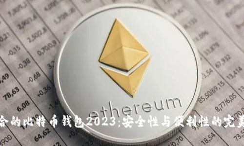 最适合的比特币钱包2023：安全性与便利性的完美平衡