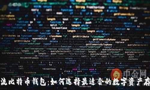   
探索主流比特币钱包：如何选择最适合的数字资产存储方式