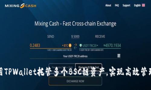 如何使用TPWallet托管多个BSC链资产，实现高效管理与收益