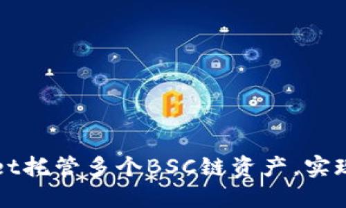 如何使用TPWallet托管多个BSC链资产，实现高效管理与收益