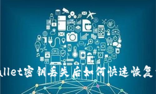 TPWallet密钥丢失后如何快速恢复资金？