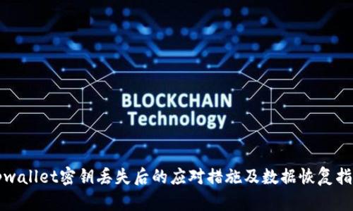 tpwallet密钥丢失后的应对措施及数据恢复指南