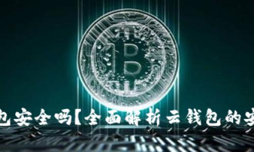 比特币的云钱包安全吗？全面解析云钱包的安全性与可靠性