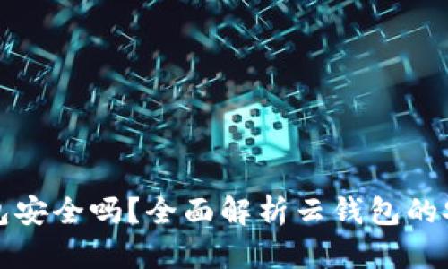 比特币的云钱包安全吗？全面解析云钱包的安全性与可靠性
