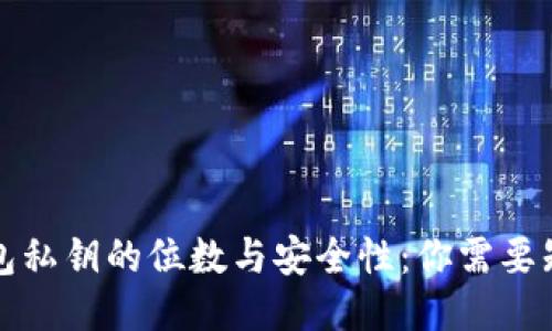 比特币钱包私钥的位数与安全性：你需要知道的一切