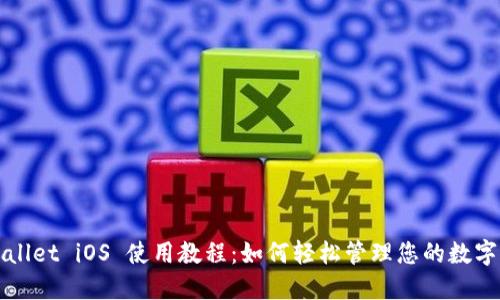TPWallet iOS 使用教程：如何轻松管理您的数字资产