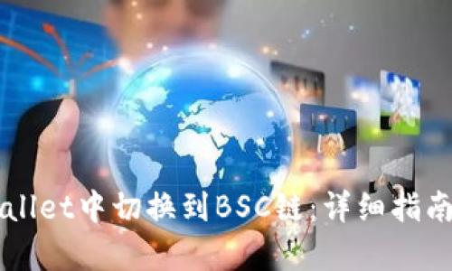 如何在TPWallet中切换到BSC链：详细指南和步骤解析