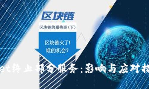 TPWallet终止部分服务：影响与应对措施详解