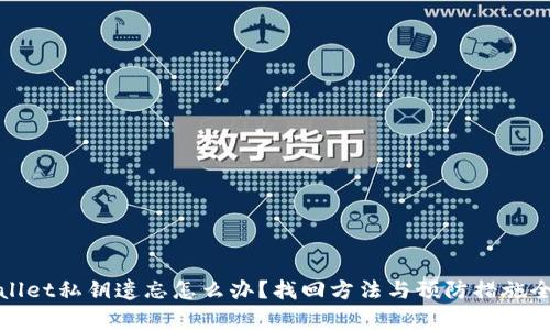 tpwallet私钥遗忘怎么办？找回方法与预防措施全解析