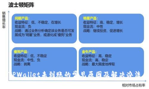 TPWallet未到账的常见原因及解决办法