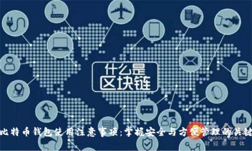 比特币钱包使用注意事项：掌握安全与方便管理的关键