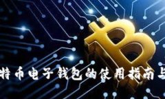 电脑版比特币电子钱包的使用指南与安全策略