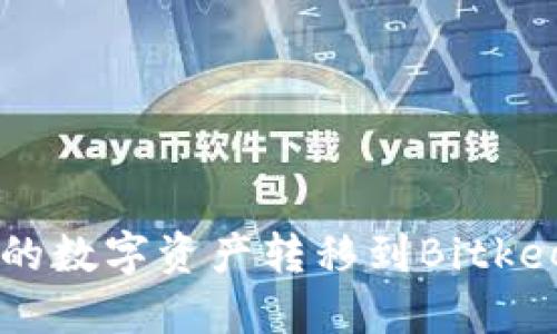 步骤

如何将TP钱包中的数字资产转移到Bitkeep钱包：完整指南