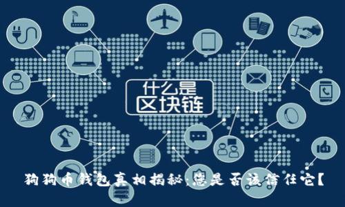 狗狗币钱包真相揭秘：您是否该信任它？
