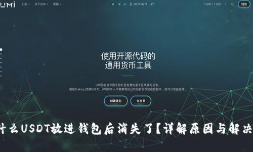  为什么USDT放进钱包后消失了？详解原因与解决方案