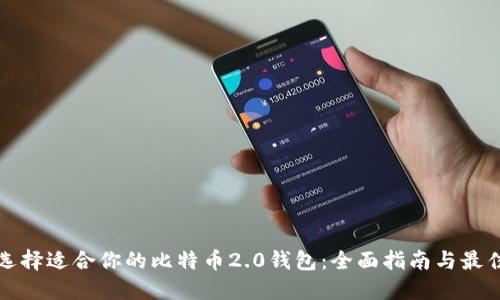 如何选择适合你的比特币2.0钱包：全面指南与最佳推荐