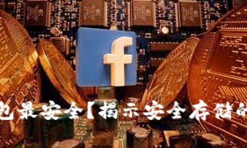比特币存什么钱包最安全？揭示安全存储的最佳选择与策略
