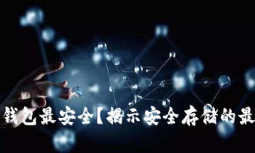 比特币存什么钱包最安全？揭示安全存储的最佳选择与策略