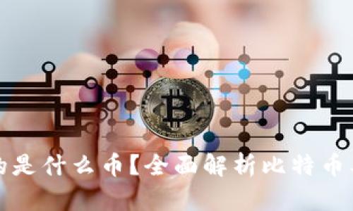 比特币钱包存放的是什么币？全面解析比特币及其钱包运作机制