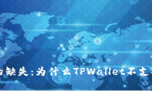 深度解析TPWallet的缺失：为什么TPWallet不支持DeFi功能及其后果