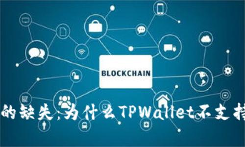 深度解析TPWallet的缺失：为什么TPWallet不支持DeFi功能及其后果