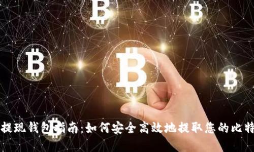 比特币提现钱包指南：如何安全高效地提取您的比特币资产