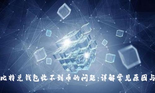 如何解决比特兑钱包收不到币的问题：详解常见原因与解决方案