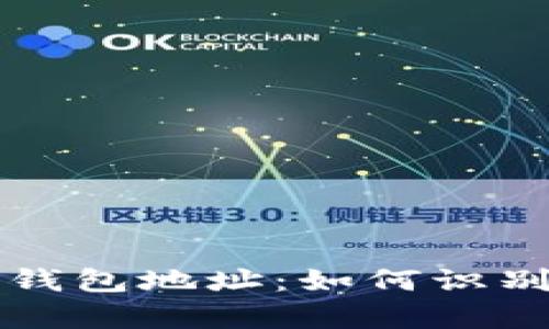 揭秘比特币大户钱包地址：如何识别与分析其影响力