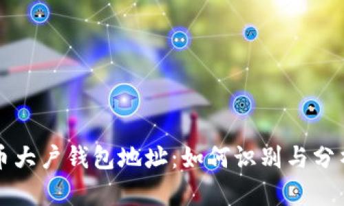 揭秘比特币大户钱包地址：如何识别与分析其影响力