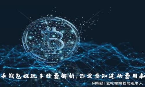 比特币钱包提现手续费解析：你需要知道的费用和选择