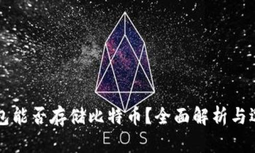 货币钱包能否存储比特币？全面解析与选择指南