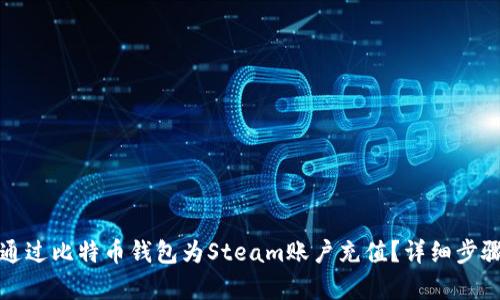 如何通过比特币钱包为Steam账户充值？详细步骤解析