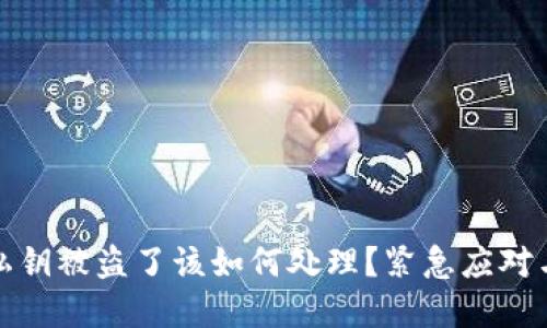 tpwallet私钥被盗了该如何处理？紧急应对与预防技巧
