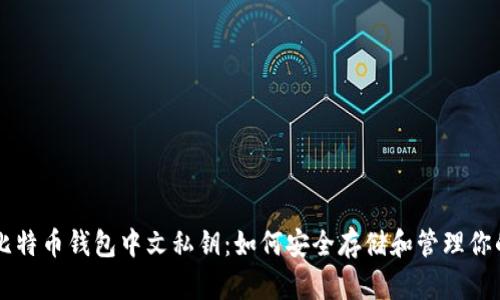 掌握比特币钱包中文私钥：如何安全存储和管理你的资产