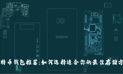 比特币钱包推荐：如何选择适合你的最佳存储方案