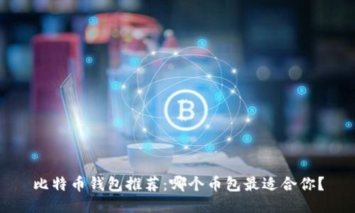 比特币钱包推荐：哪个币包最适合你？