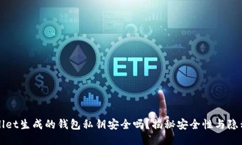 TPWallet生成的钱包私钥安全吗？揭秘安全性与隐私保护
