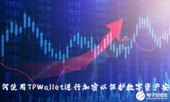 如何使用TPWallet进行加密以保护数字资产安全