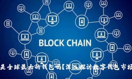 TPWallet是全球最大的钱包吗？深入探讨数字钱包市场的领导者