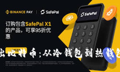 如何安全取出比特币：从冷钱包到热钱包的完整指南
