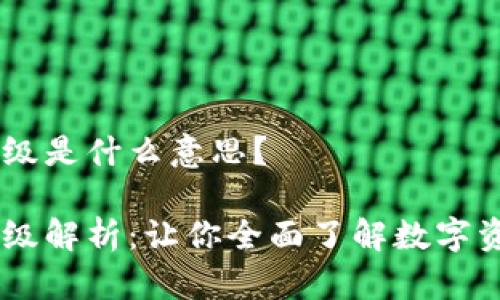 TPWallet的AO级是什么意思？

TPWallet的AO级解析：让你全面了解数字资产投资新机会