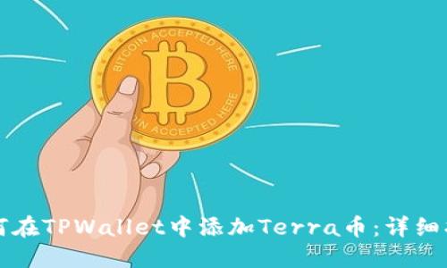 如何在TPWallet中添加Terra币:详细指南