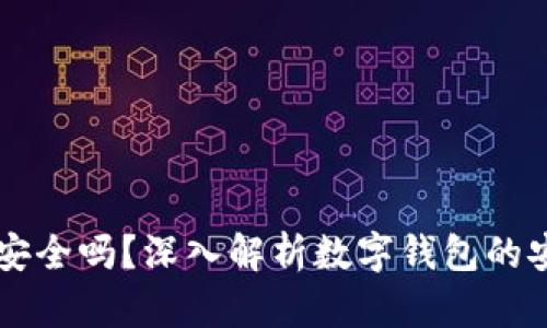 TPWallet不联网安全吗?深入解析数字钱包的安全性与风险管理