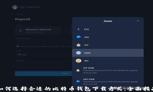 如何选择合适的比特币钱包下载方式:全面指南