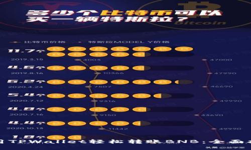 使用TPWallet轻松转账BNB:全面指南