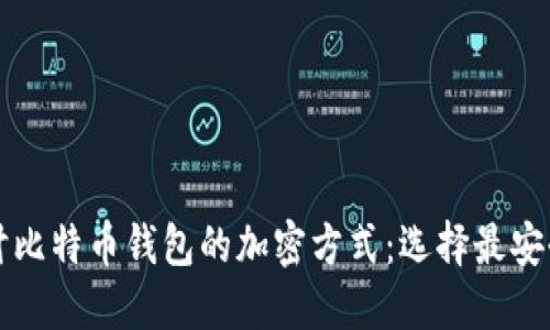 深入探讨比特币钱包的加密方式:选择最安全的选项