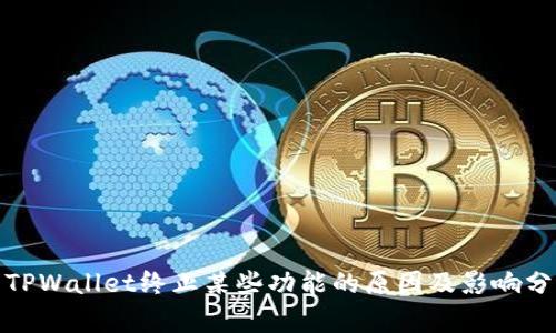 : TPWallet终止某些功能的原因及影响分析