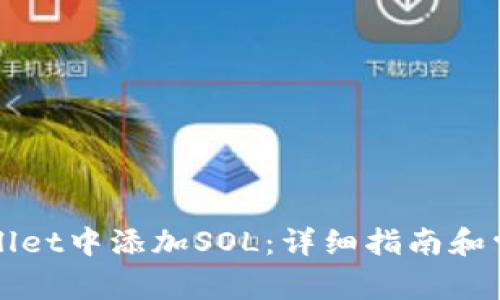 如何在TPWallet中添加SOL:详细指南和常见问题解答