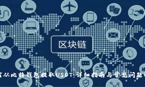 如何从比特钱包提取USDT:详细指南与常见问题解答